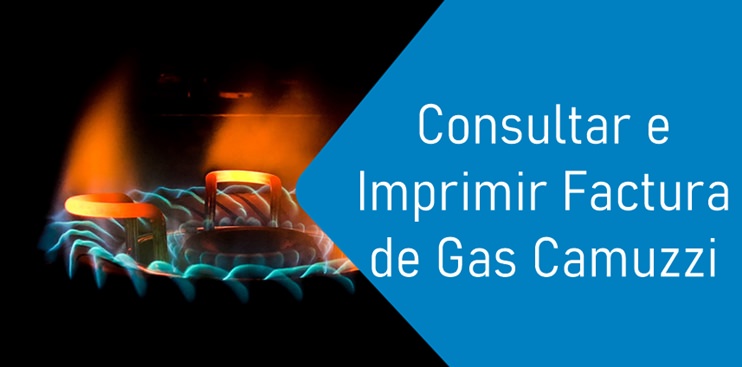 Consultar e Imprimir Factura de Gas Camuzzi Consultar e Imprimir Factura de Gas Camuzzi